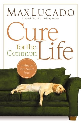 Cure for the Common Life book cover